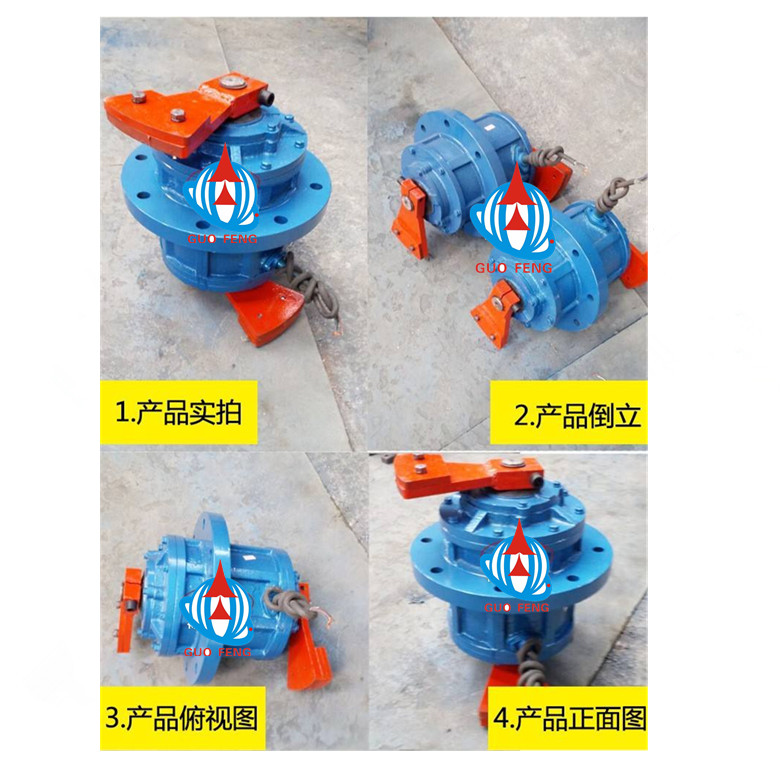 立式振動(dòng)電機(jī)01